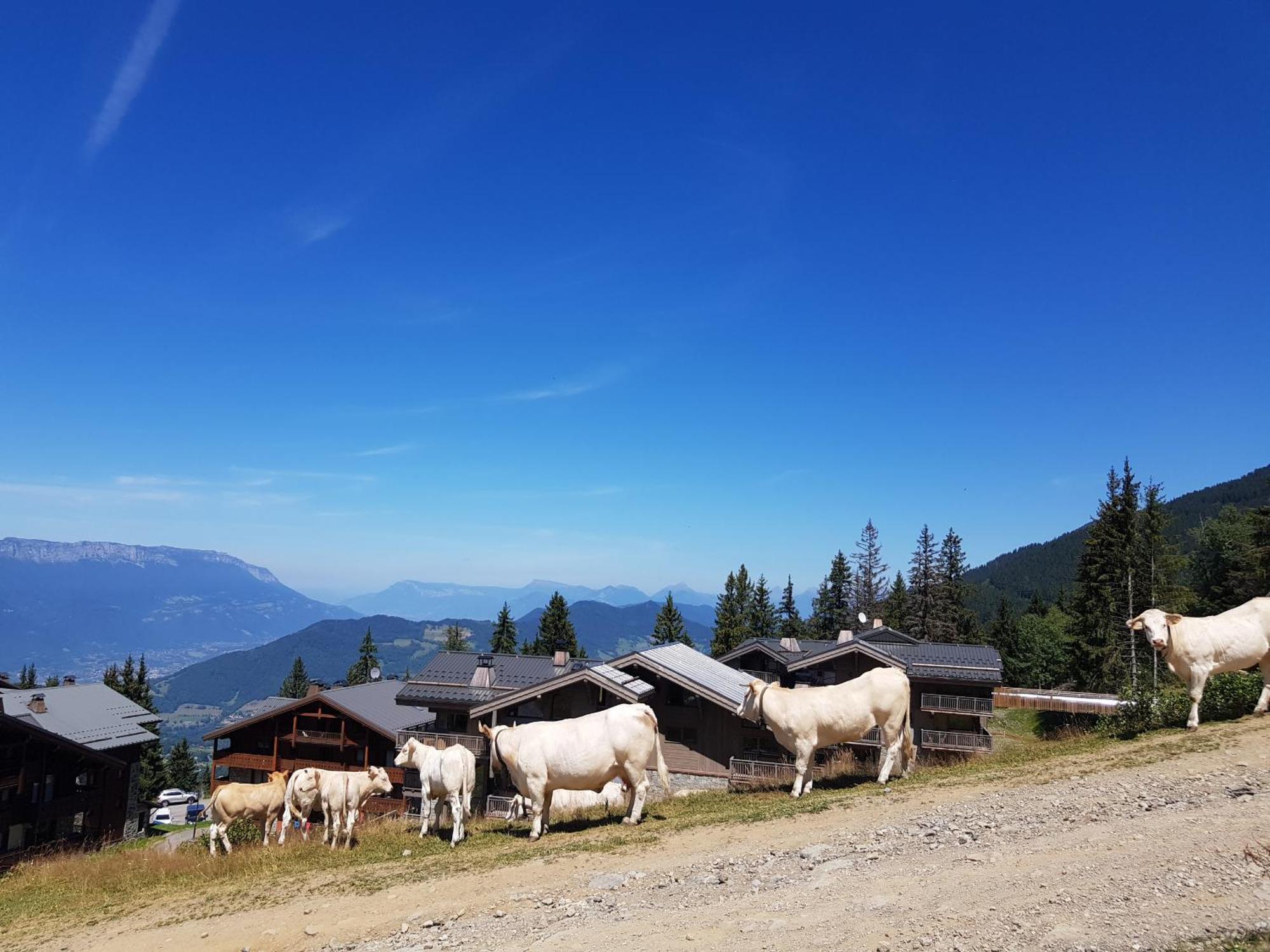 Les 7 Laux Immobilier Chalet E Prapoutel Bagian luar foto