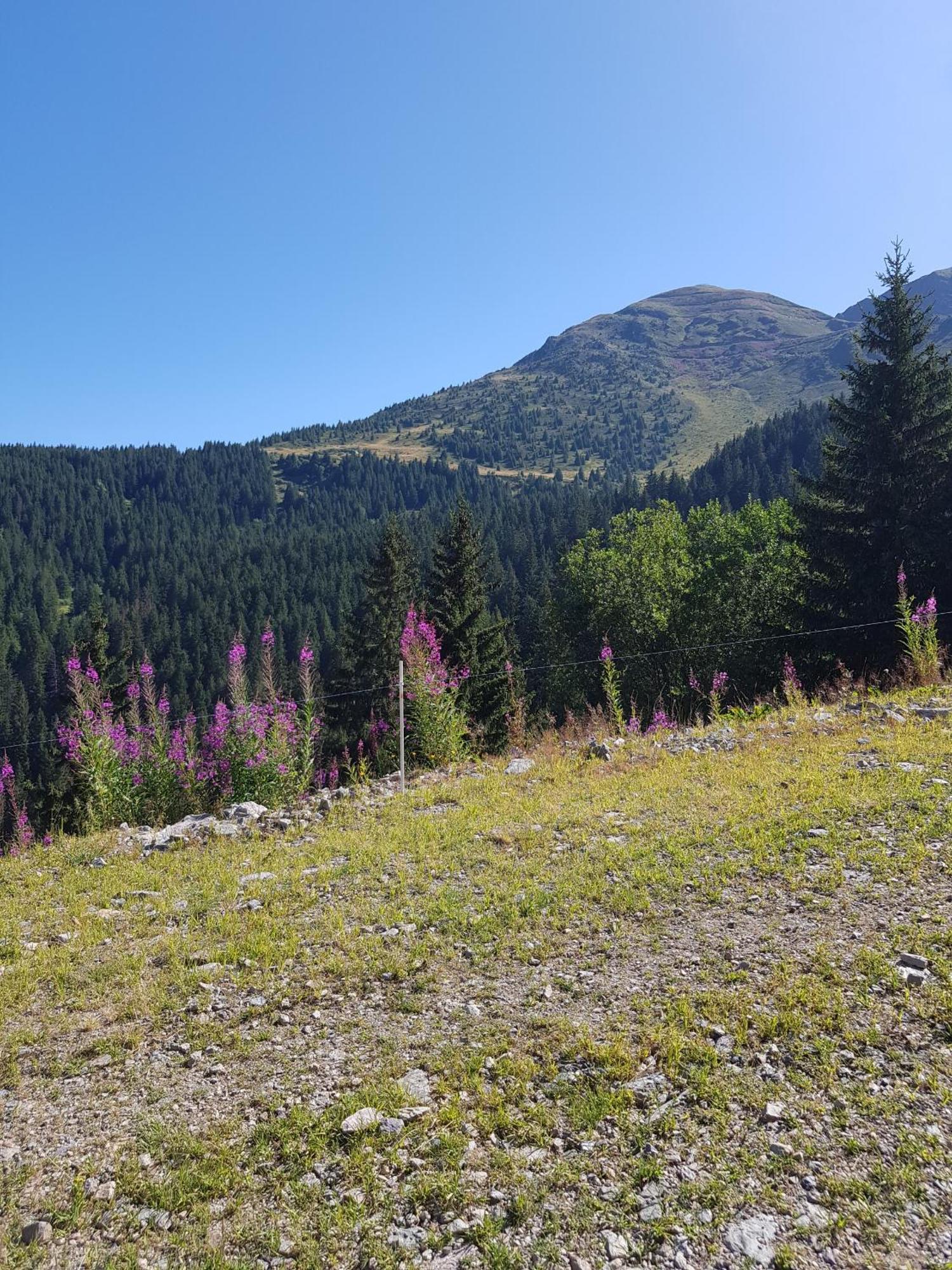 Les 7 Laux Immobilier Chalet E Prapoutel Bagian luar foto